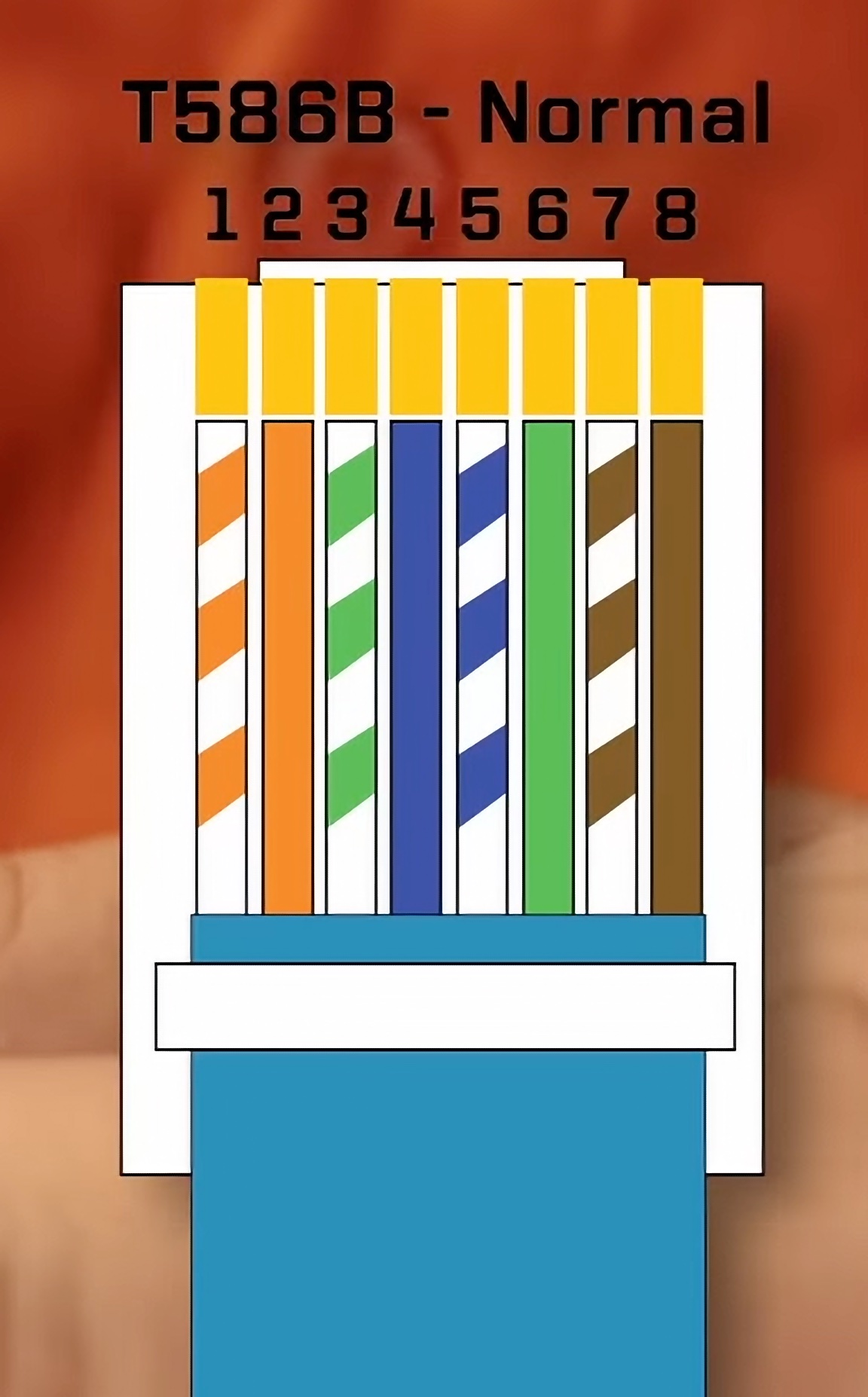 The “normal” ethernet wire order. From the Everlanders video linked above.